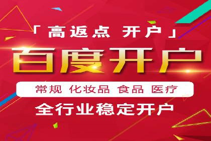 SEM竞价员的核心技能与成功案例解析